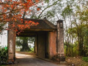 meditation tour duong lam village ha noi