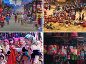 eco tours cho phien bac ha