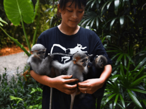 eco tours vuon quoc gia cuc phuong
