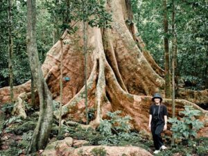 eco tours vuon quoc gia nam cat tien