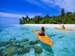 jang tours vietnam dao ca voi