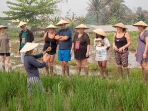 laos tours living land farm