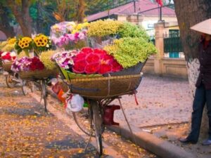 meditation tours ha noi