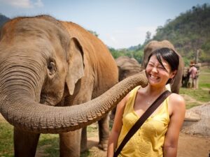 thailand tours elephant camp