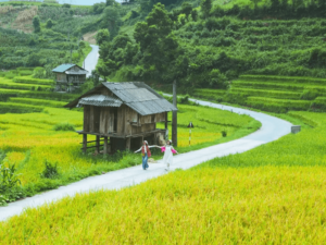vietnam tours sapa
